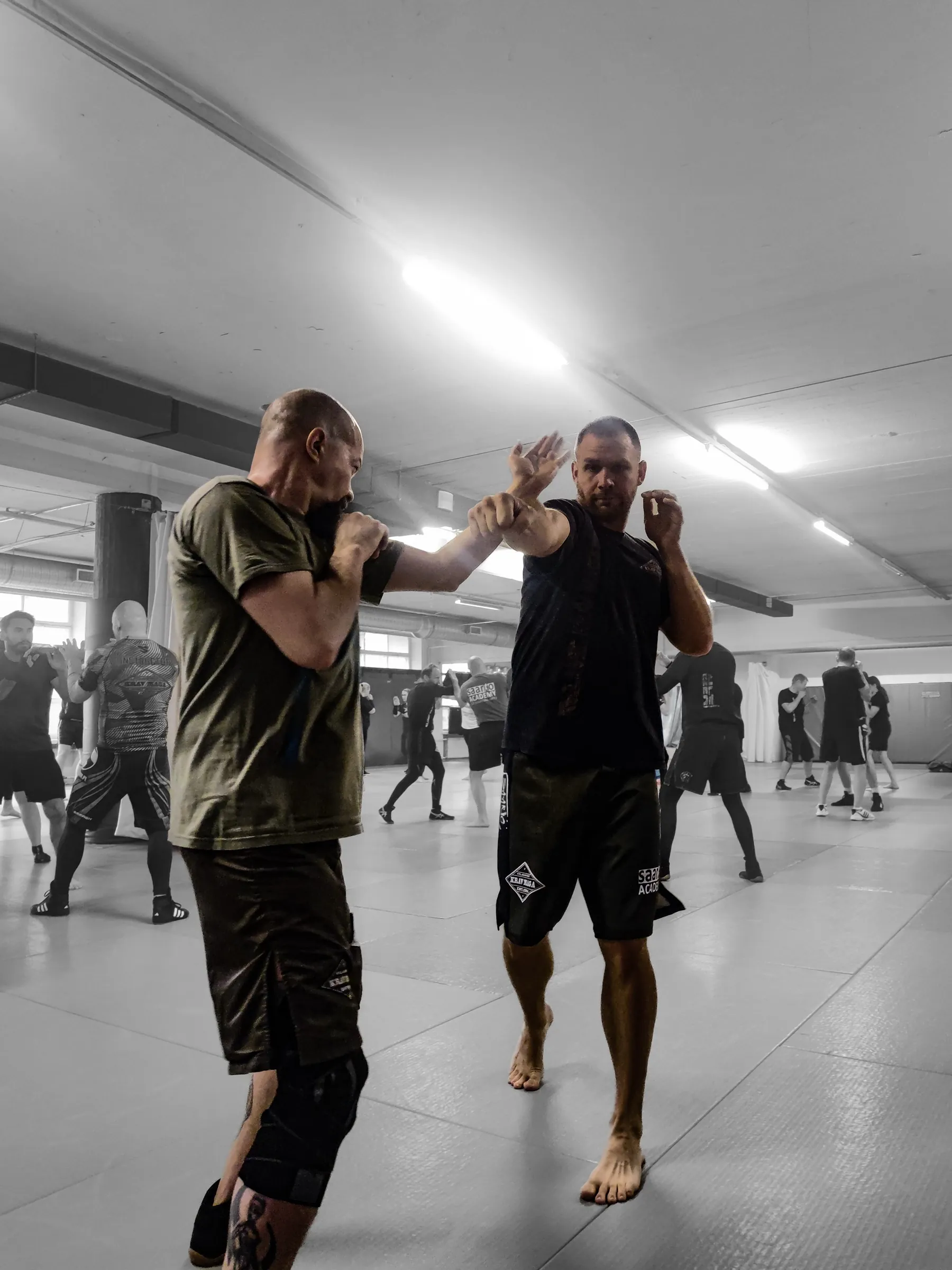 Two practitioners drilling a controlled strike while the whole class trains behind them